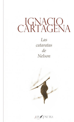 Las Cataratas De Nelson - Ignacio Carta