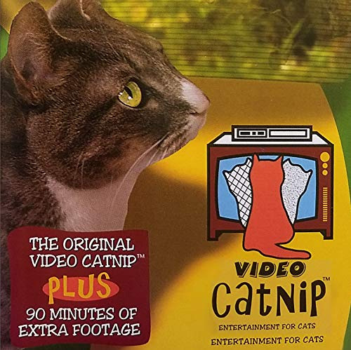 Vídeo Catnip