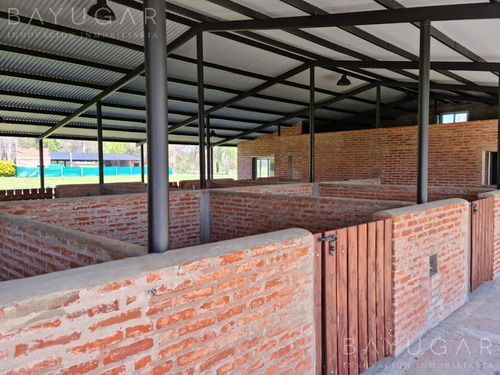 Venta Caballerizas - San Jorge Chico - General Rodriguez