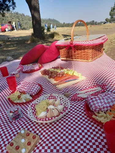 Porque Incorrecto semilla Canasta Picnic Grande Con Complementos Para 4 Personas