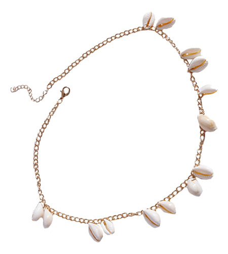Collar Cowrie Collar Beach Shell The Summer