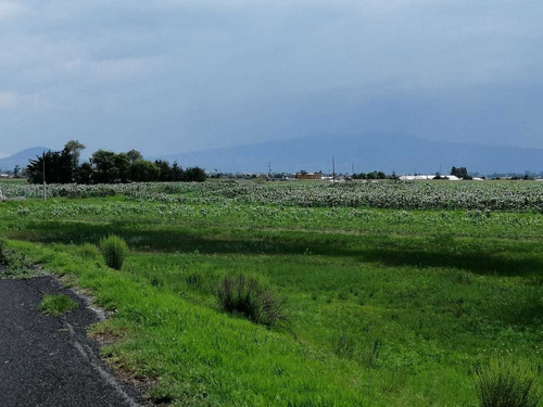 Imagen 3 de 5 de A 15 Min De Ixtlahuaca A Pie De Carretera Jocotitlan San Bartolo Del Llano