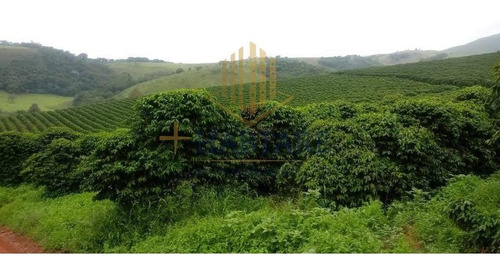 Imagem 3 de 15 de Fazenda Para Venda Em Ouro Fino, - - Fazenda 0_1-2221666