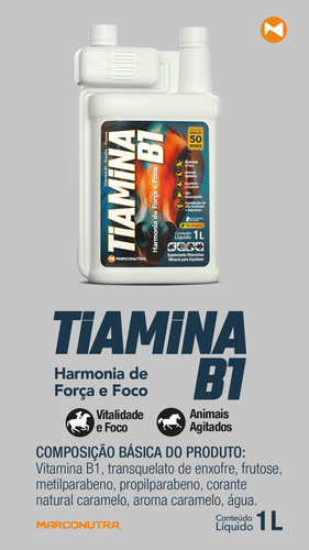 Tiamina B1 - Cavalo Calmo, Atento E Desempenho De Verdade