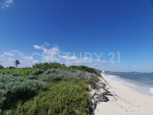 Oportunidad!!se Vende Terreno Frente Al Mar Mahahual-rio Indio P1200