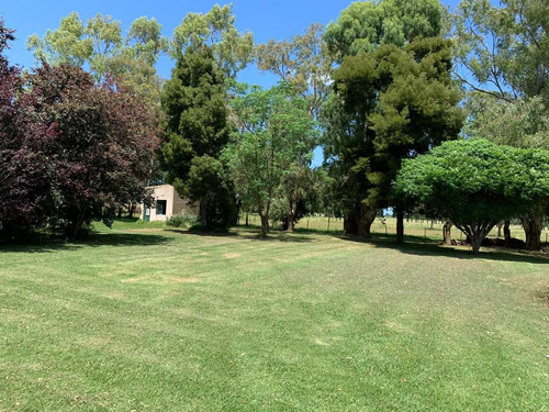 Imagen 15 de 30 de Campo En Venta En Bavio | Ruta 11 E/el Pino Y Km.42 (bavio) 19 Has