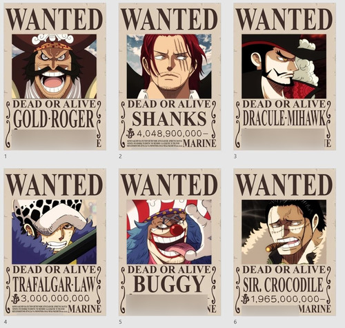 Pack 10 Posters Se Busca One Piece A4