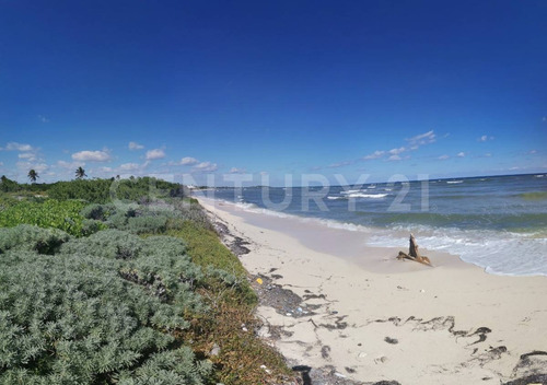 Oportunidad!!se Vende Terreno Frente Al Mar Mahahual-rio Indio P1200