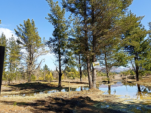 Sitios El Arrayan , Ruta O 60 Km 17 Cam Unihue Talcamavida