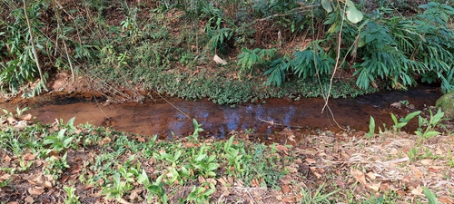 Chacara 4.500m2 Fase Final Com Agua A Venda Em Pedra Bela Sp