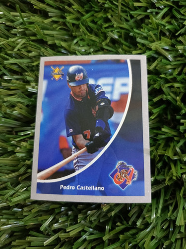 2001 Béisbol Profesional Venezolano Pedro Castellano #39