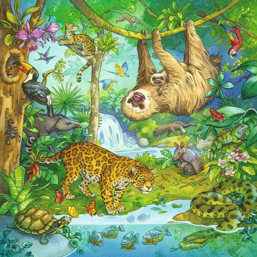 Ravensburger Rompecabezas: En La Jungla 49 Piezas
