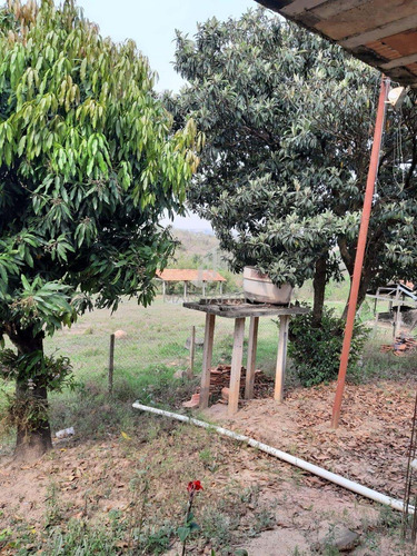 Imagem 13 de 26 de Chácara À Venda Em Chácara Recreio Cruzeiro Do Sul - Ch004902