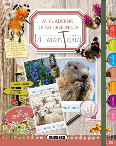 La Montaña (libro Original)