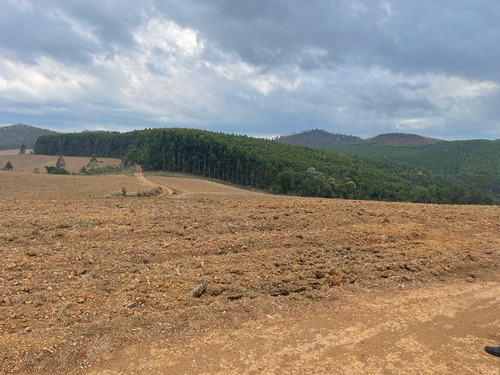 Imagem 30 de 30 de Vendo Fazenda Dupla Aptidao Regiao De Poços De Caldas (6176 )