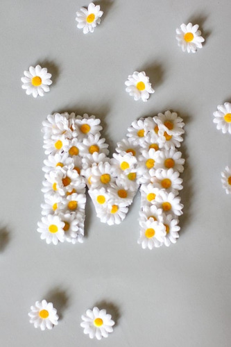 Letras Con Flores Cumple.decoracion