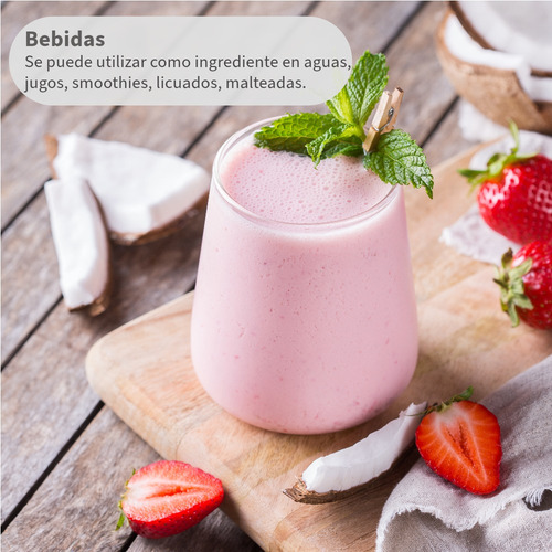 Bebida De Coco Polvo Sin Lactosa 100% Orgánica 25kg