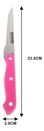 Set 6 Cuchillos De Acero Mango Acrílico Fucsia