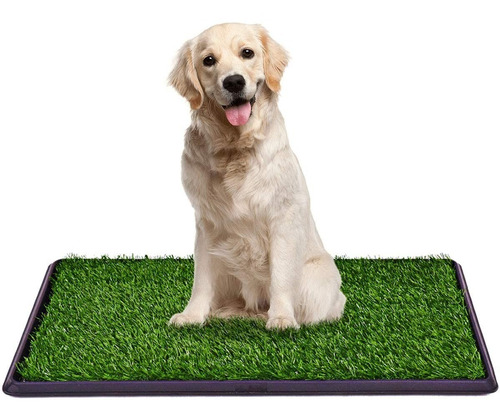 Giantex  Alfombrilla Para Inodoro - Baño Para Perros