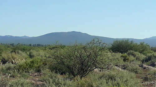 Venta - Finca  De 10 Ha- Rincón Del Atuel San Rafael