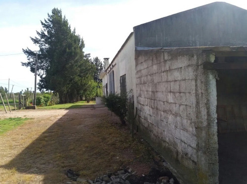 Venta Permuta Chacra Prox Los Cerrillos Rincon Del Colorado