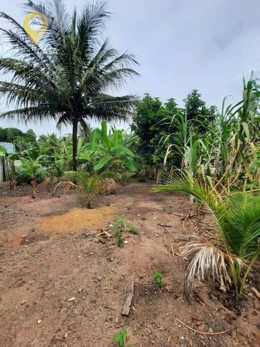 Imagem 4 de 8 de Terreno Em Jacaraípe - Te0136