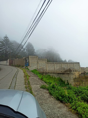 Imagen 4 de 20 de Bello Terreno En El Junquito