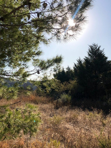 Imagen 3 de 15 de Lote De 1250 M2 En Barrio Los Olivares De Los Hornillos / Traslasierra Con Escritura