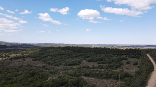 Campo En Rocha De 137ha (ref: Atm-6803)