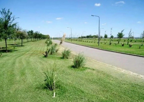 Imagen 3 de 7 de Susana Aravena Propiedades Terreno - San Sebastián Al Agua.