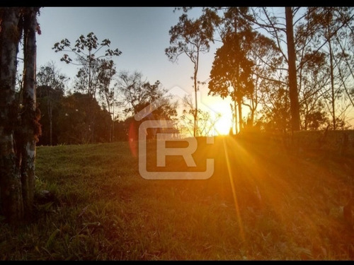 Imagem 18 de 30 de Lindo Sitio Com Uma Maravilhosa Vista No Alto Do Morro Tendo Uma Linda Vista Para O Pôr Do Sol - 113 - 69319003