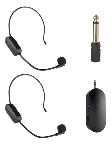 Micrófono Auriculares Micrófono Sistema De 2 Micrófonos