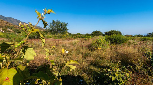 Garden House En Venta En Ajijic, Jalisco.