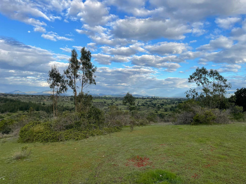 Venta De Parcelas, 5.000 Mts2, Con Agua Y Luz, En Algarrobo