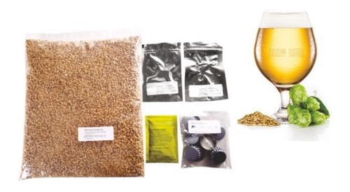 Kit Cerveja Blond Ale - 20l Brewbeer Com Insumos E Receita