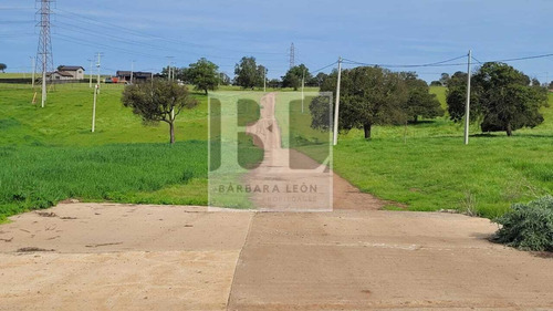 Parcelas Con Rol En Mantagua De 1000 Mt2 En Condominio