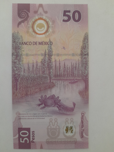 Billete 50 Pesos Mx Errores Tinta Simula Sombra Ajolote