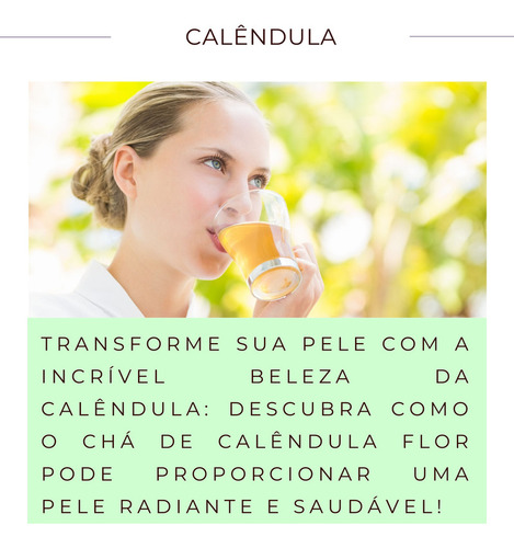 Chá Totalecom chá de calêndula flor em ervas Cha de Clendula Flor 30 g pacote x 3