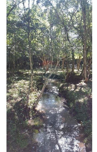 Imagen 13 de 14 de Vendo Casa Quinta En Carmen Del Paraná: 12 Hectáreas Y Media