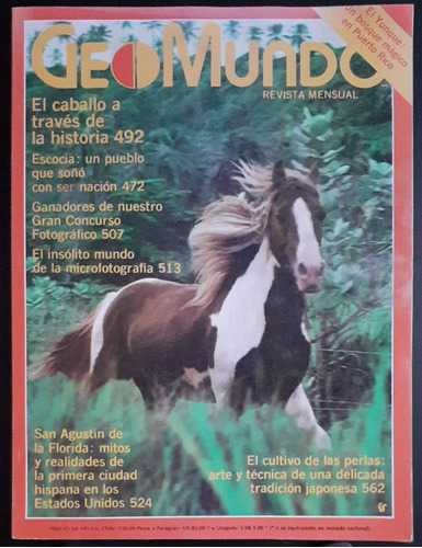 Revista Geomundo / El Caballo A Través De La Historia.