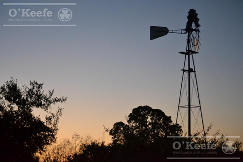 Imagen 3 de 11 de Campo Ganadero En Venta - Calchaqui 1200 Has - Con Frente Sobre Ruta