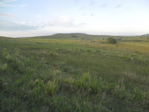 Campo En Venta