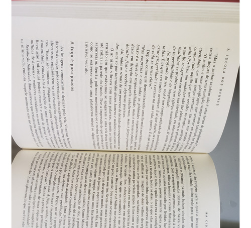 A Escola Dos Deuses: Formação De Líderes Na Nova Economia - Elio D'anna - Português - Novo Século - 1ª Edição - Volume 1 - Grande - Com Índice - 2019