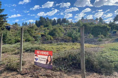 Terreno 1.500m² Alta Plusvalía En Reñaca Los Pinos