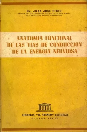Anatomia Funcional De Las Vias De Conduccion De La Energia