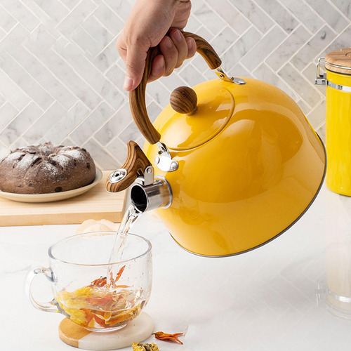 Whistling Kettle Stovetop Kettle 2.5 L Se Calienta