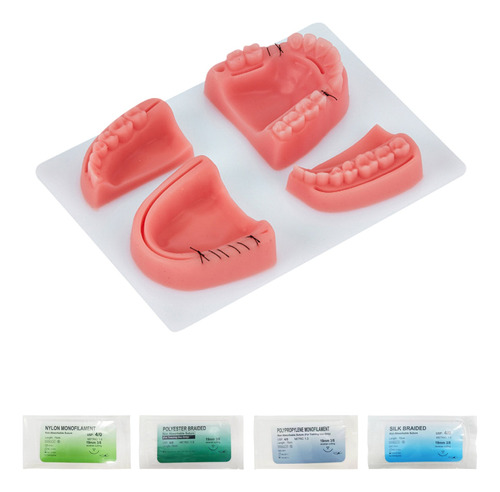 Kit De Entrenamiento Sobre Sutura Dental Con Suturas
