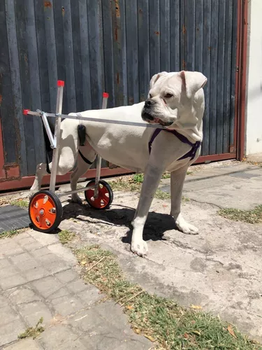 Carrito Para Perros Discapacitados Hasta 25kg