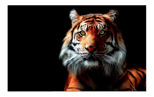 Cuadro Tigre Animales 120x70 Otros Diseños Tela Canvas