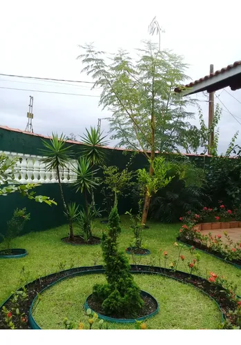 Casa Térrea C/ 3 Quartos, 2 Banheiros - São João Batista Ll Peruíbe/sp